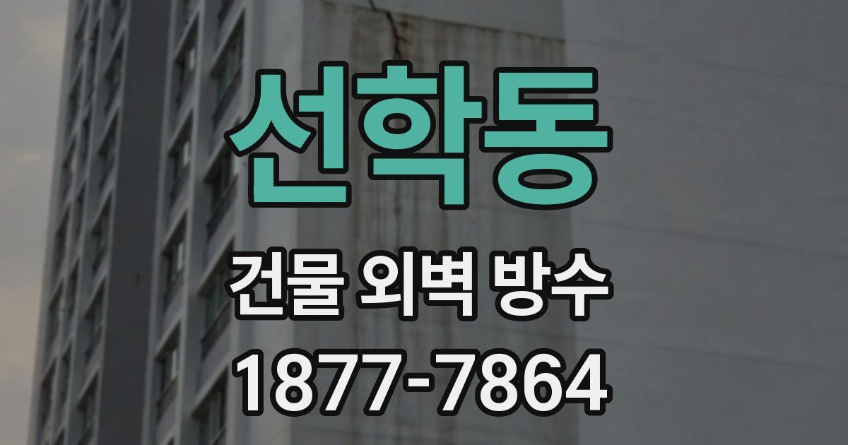 선학동 건물 외벽 방수