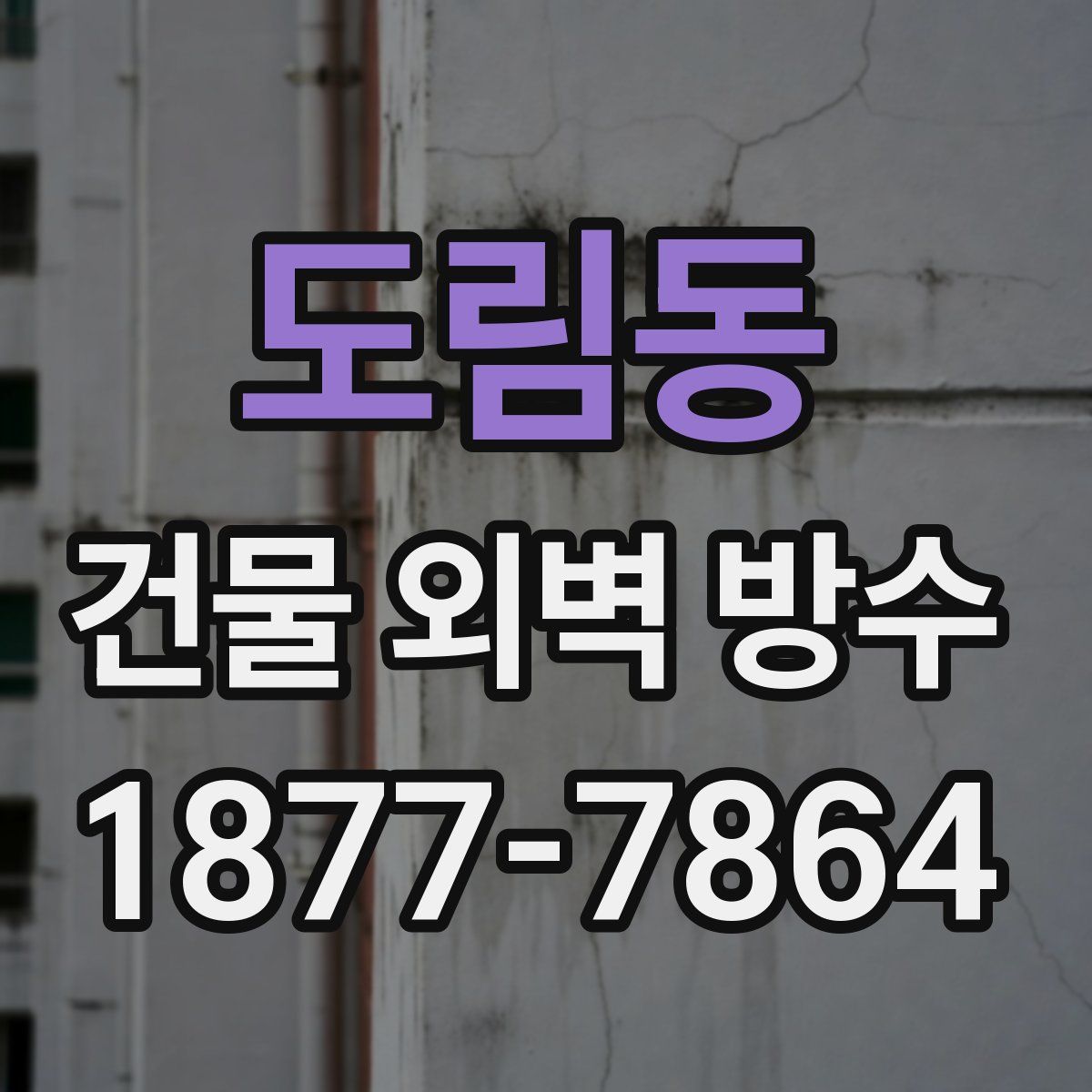 도림동 건물 외벽 방수