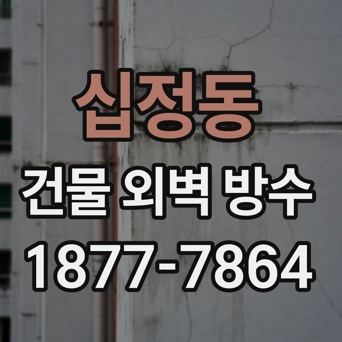 십정동 건물 외벽 방수