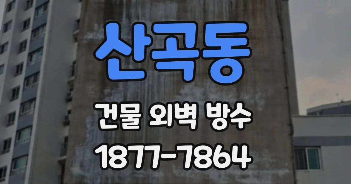 산곡동 건물 외벽 방수