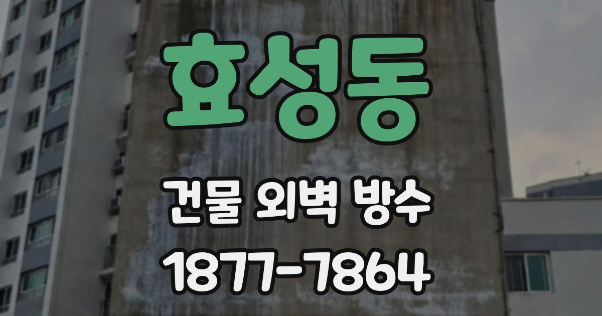 효성동 건물 외벽 방수