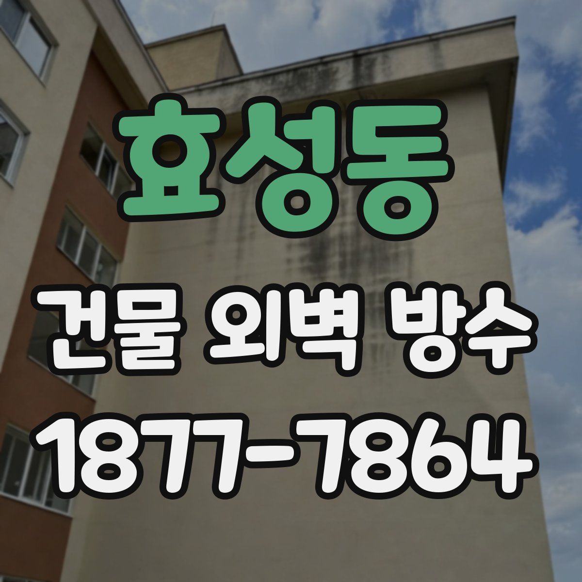 효성동 건물 외벽 방수