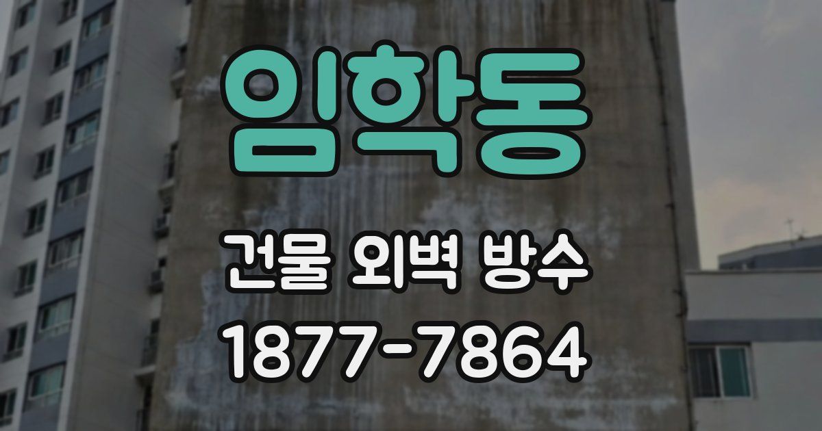 임학동 건물 외벽 방수