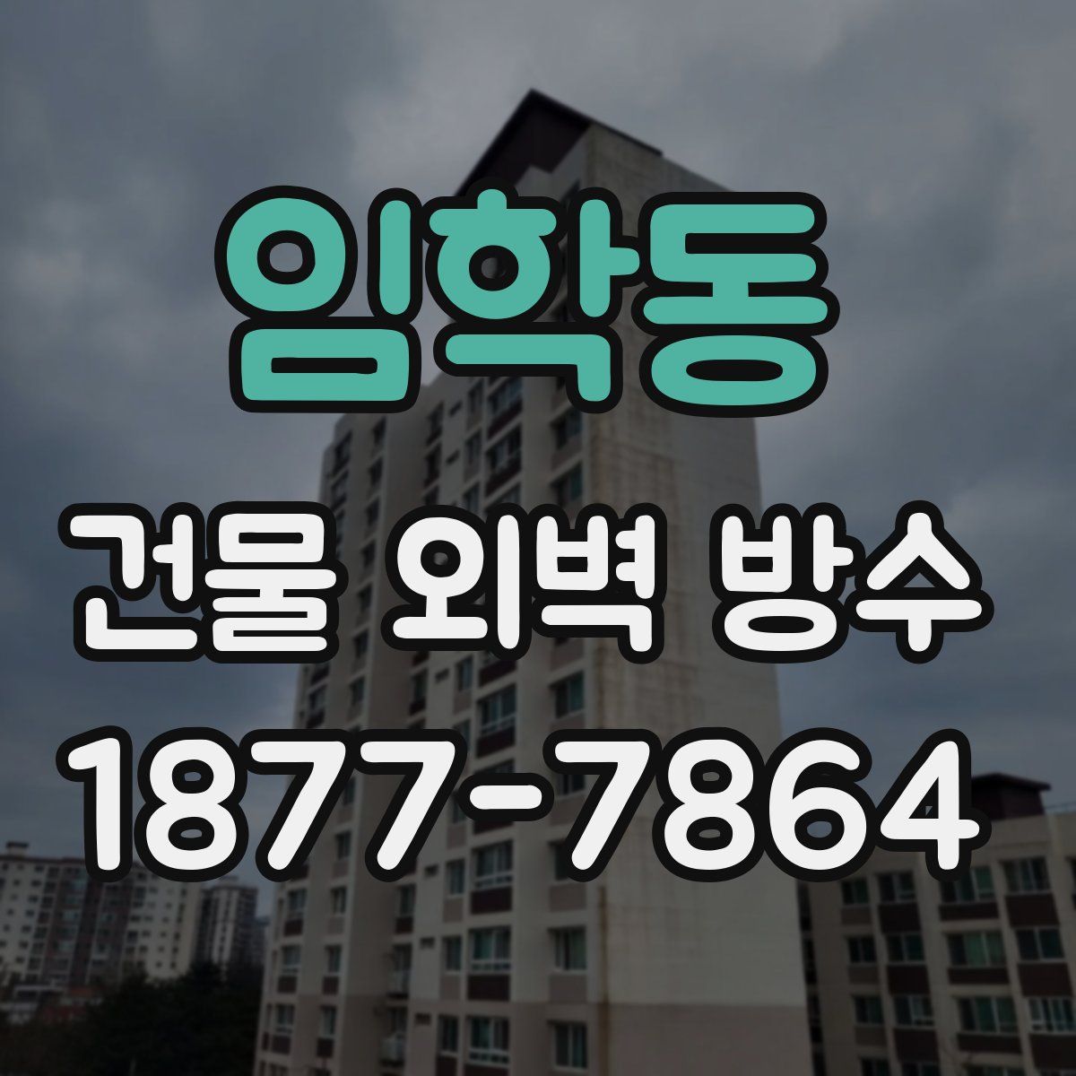 임학동 건물 외벽 방수