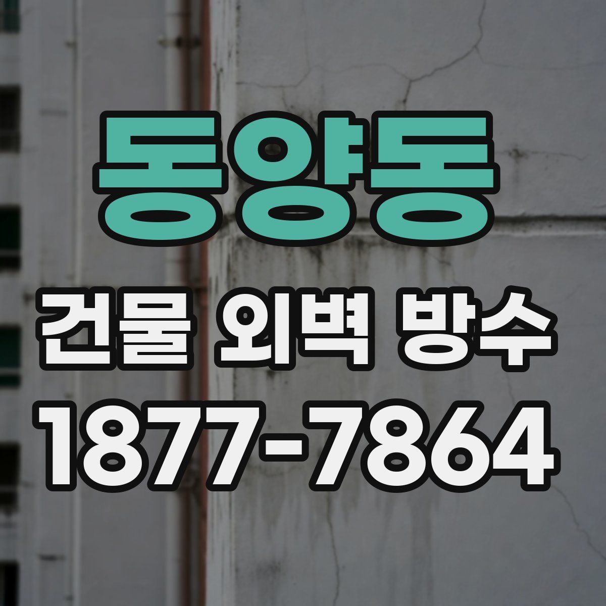 동양동 건물 외벽 방수