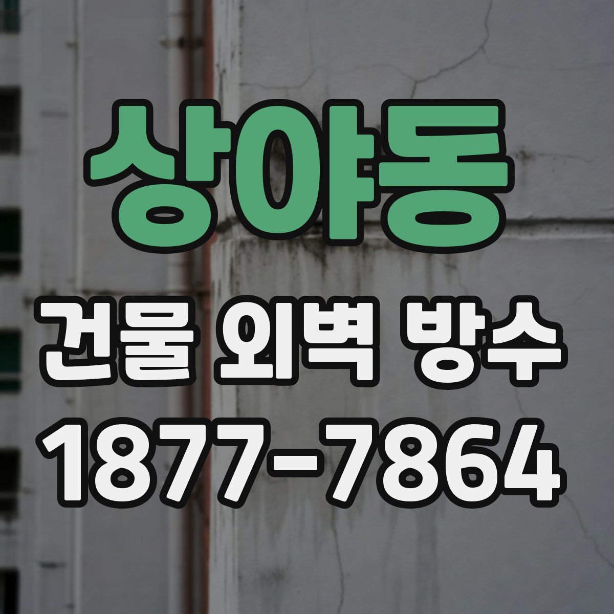 상야동 건물 외벽 방수