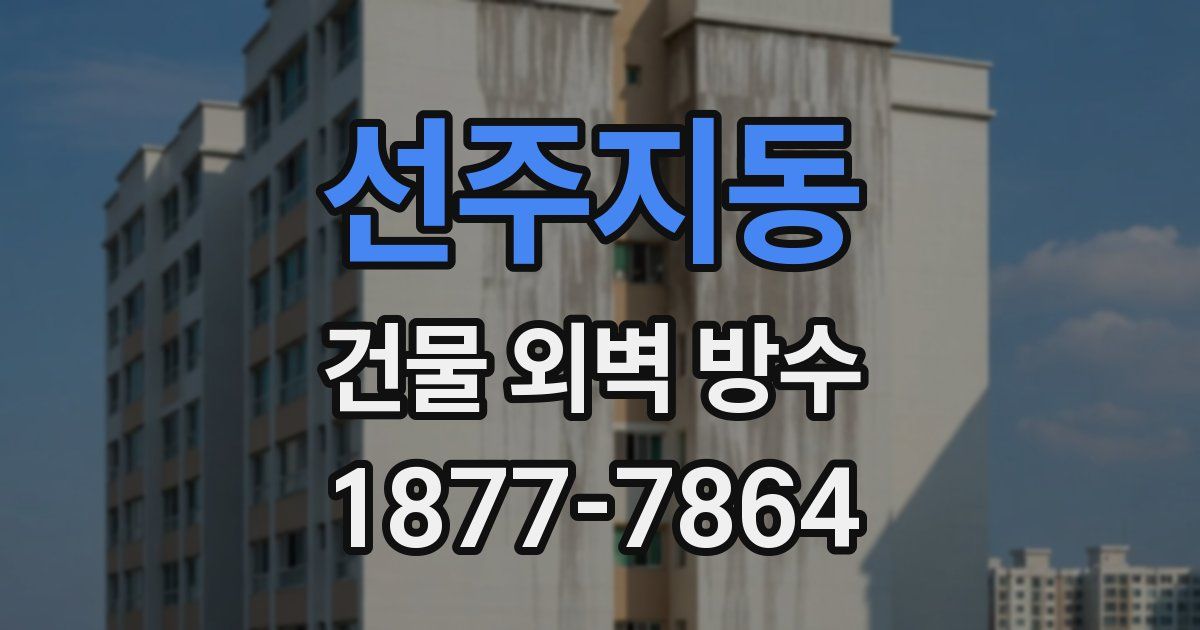 선주지동 건물 외벽 방수