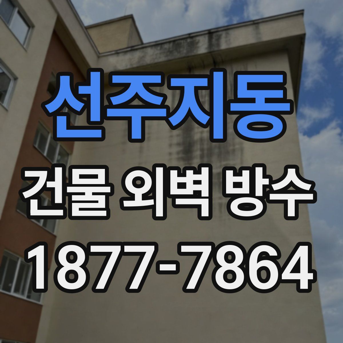 선주지동 건물 외벽 방수