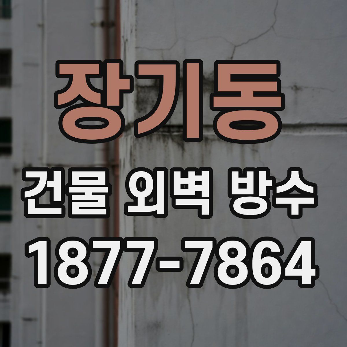장기동 건물 외벽 방수