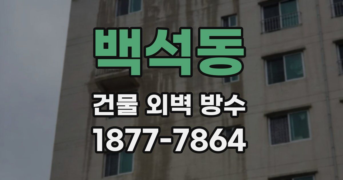백석동 건물 외벽 방수