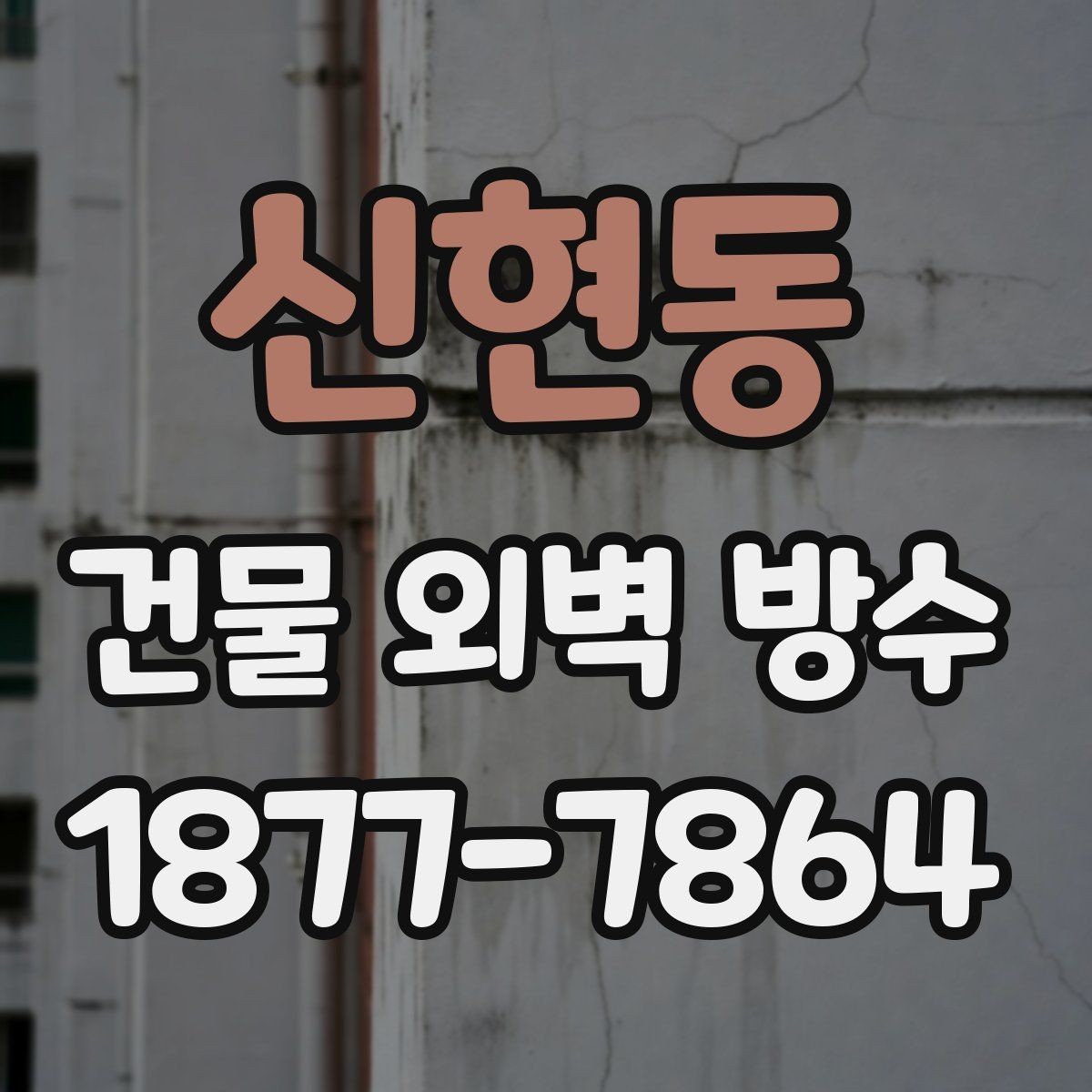 신현동 건물 외벽 방수 균열이 생겼을 때 대처 방법