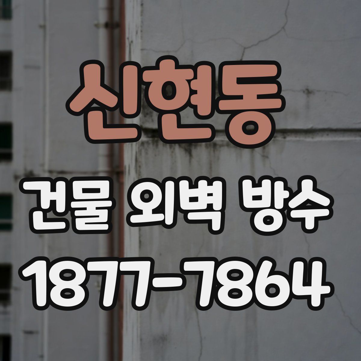 신현동 건물 외벽 방수