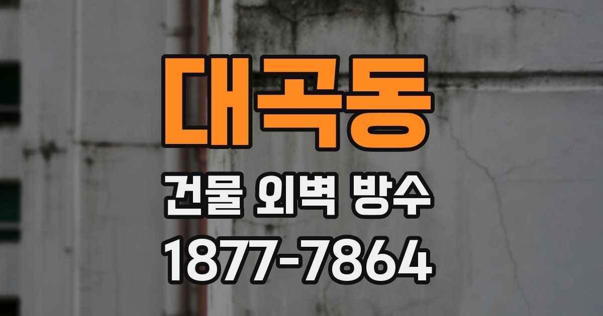 대곡동 건물 외벽 방수