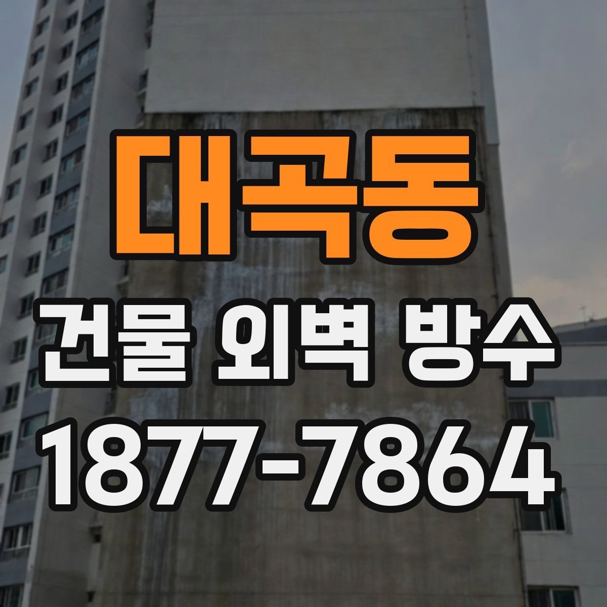 대곡동 건물 외벽 방수