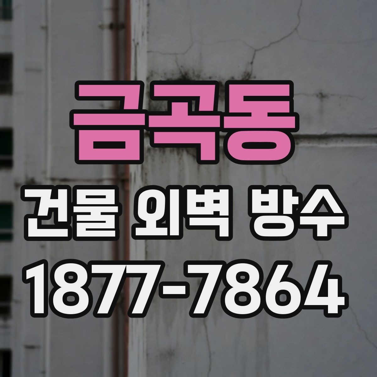 금곡동 건물 외벽 방수 업체 상담 전 준비하면 좋은 내용