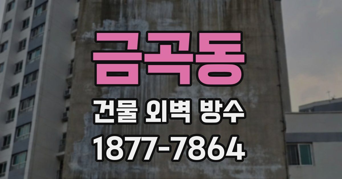 금곡동 건물 외벽 방수