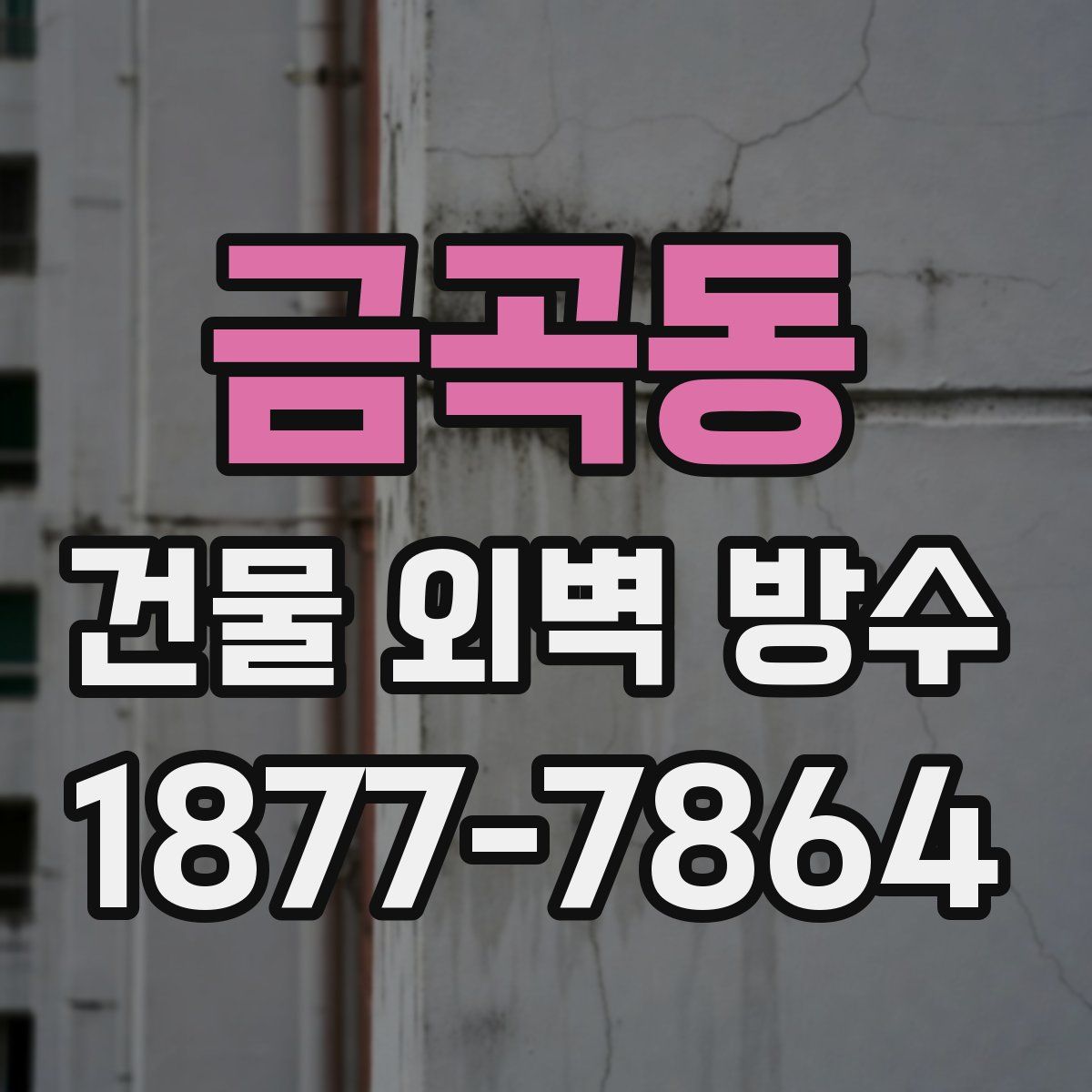 금곡동 건물 외벽 방수
