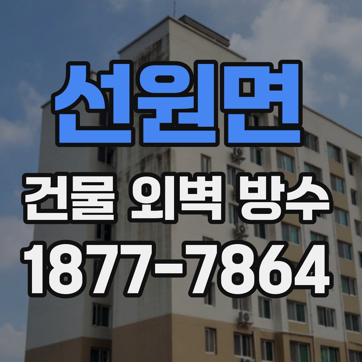 선원면 건물 외벽 방수