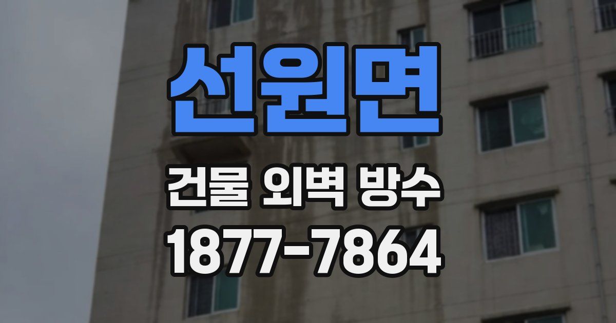 선원면 건물 외벽 방수