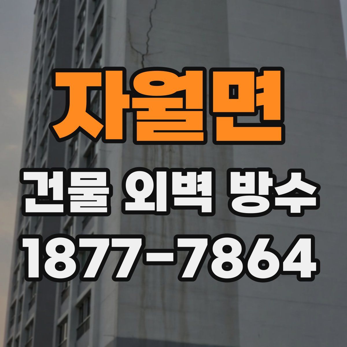 자월면 건물 외벽 방수