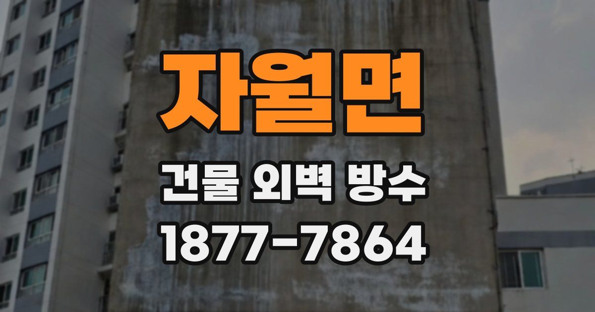 자월면 건물 외벽 방수