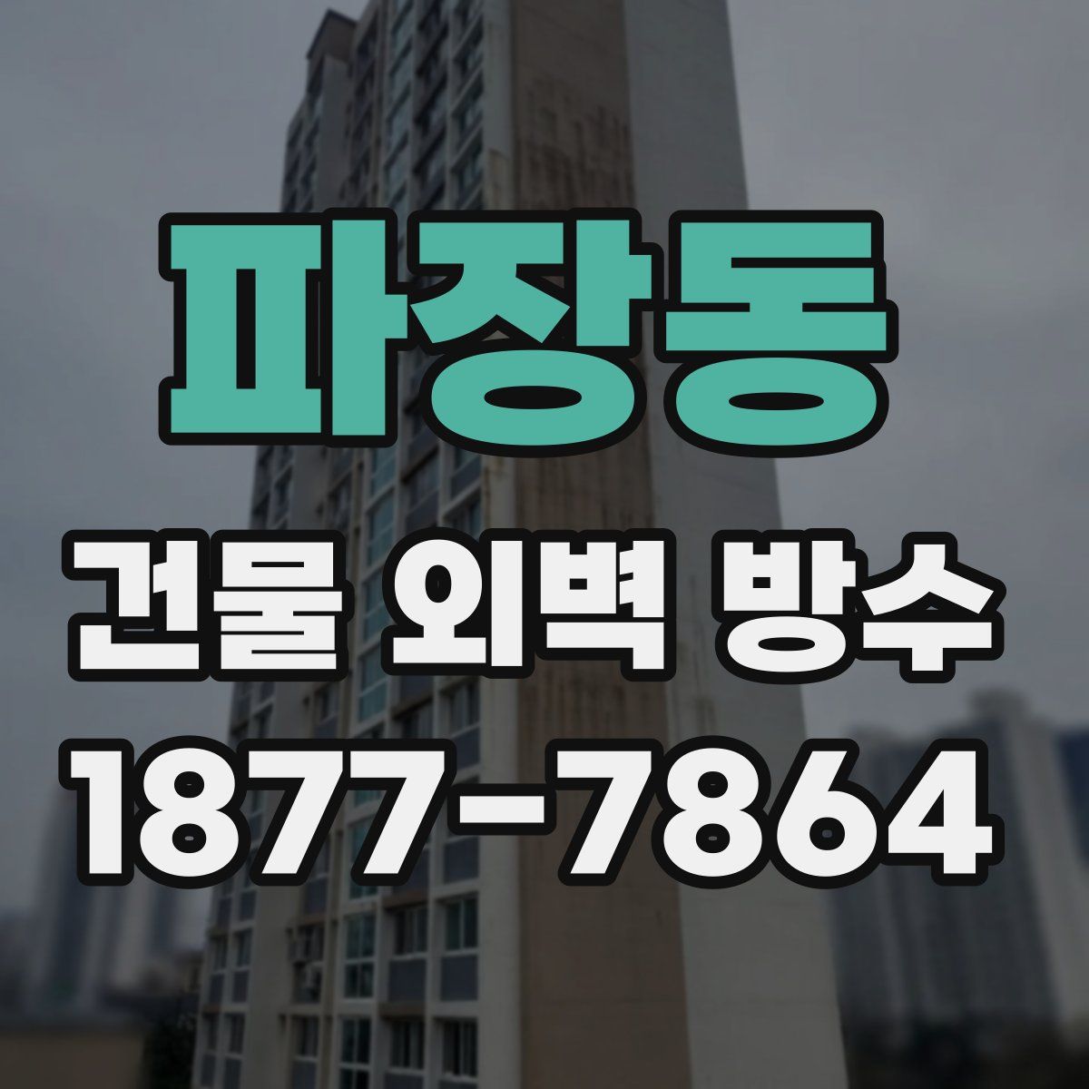 파장동 건물 외벽 방수