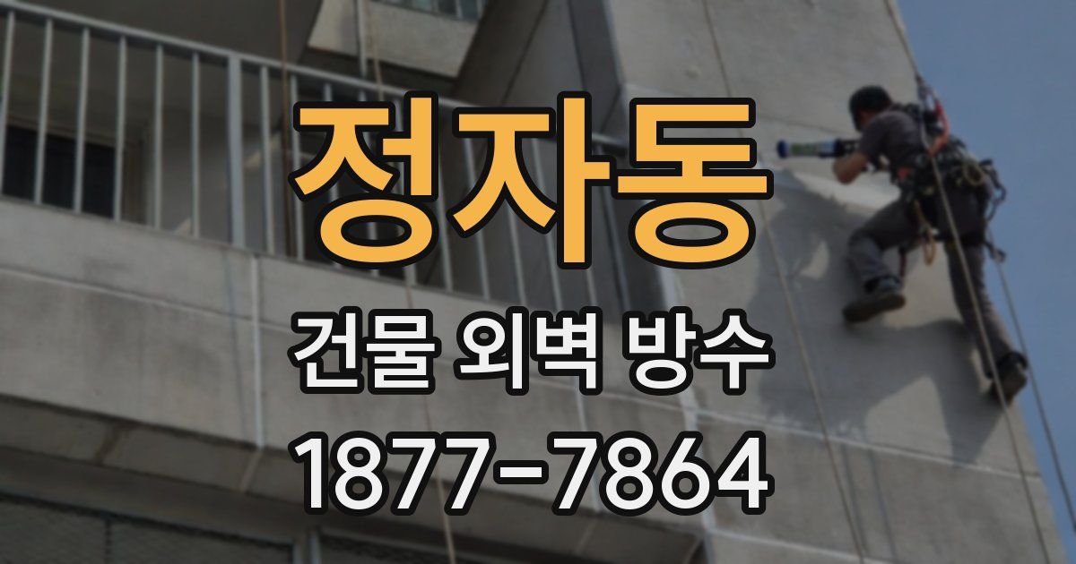 정자동 건물 외벽 방수