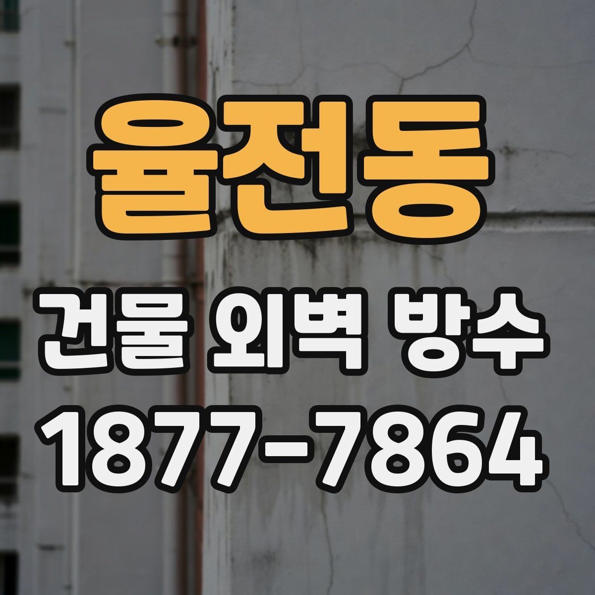 율전동 건물 외벽 방수 시공 전 상태 진단이 먼저인 이유
