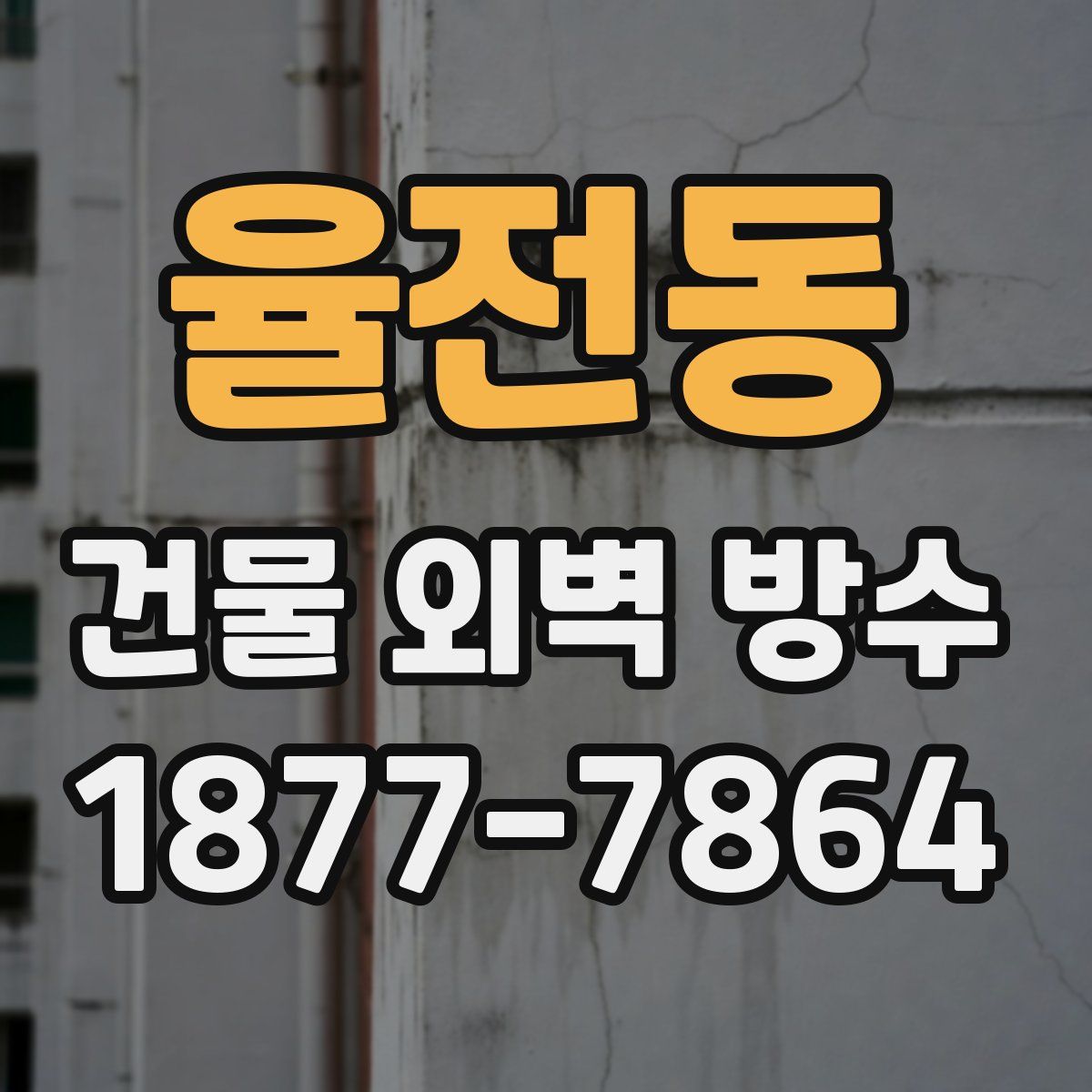 율전동 건물 외벽 방수
