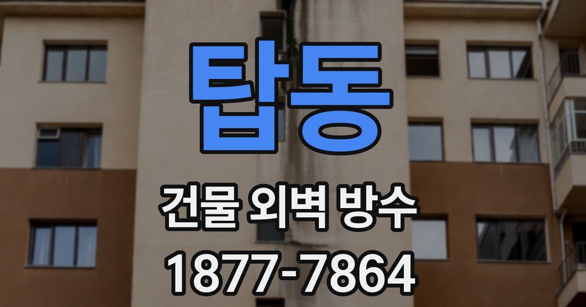 탑동 건물 외벽 방수