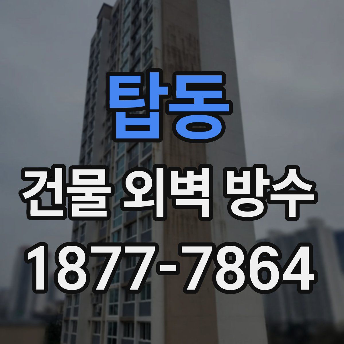 탑동 건물 외벽 방수