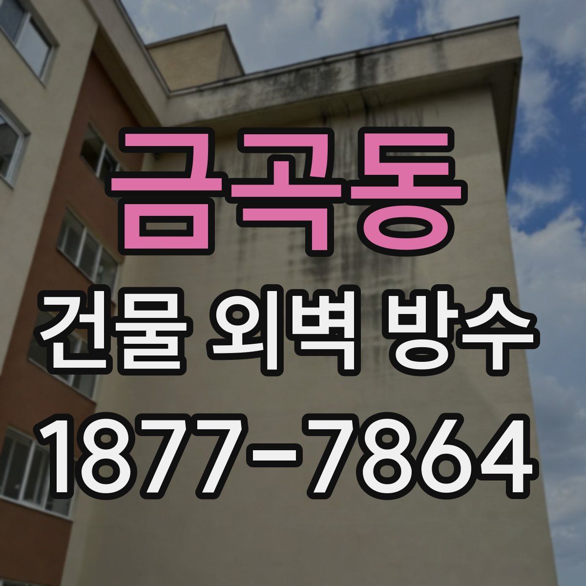 금곡동 건물 외벽 방수