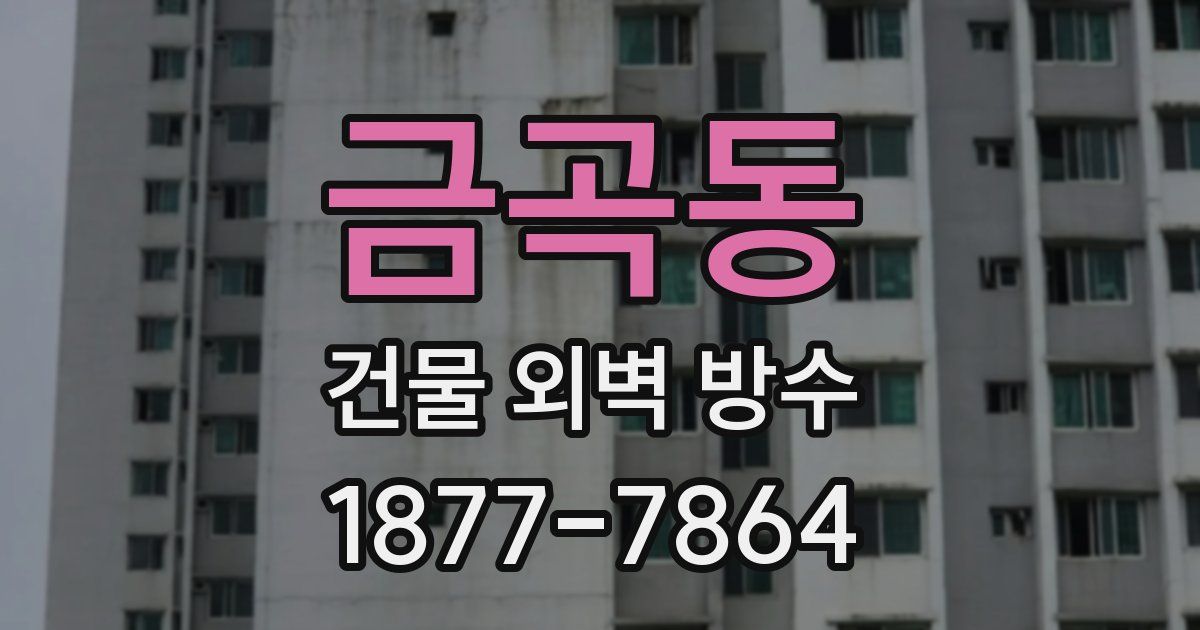 금곡동 건물 외벽 방수