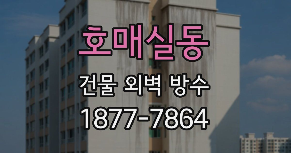 호매실동 건물 외벽 방수