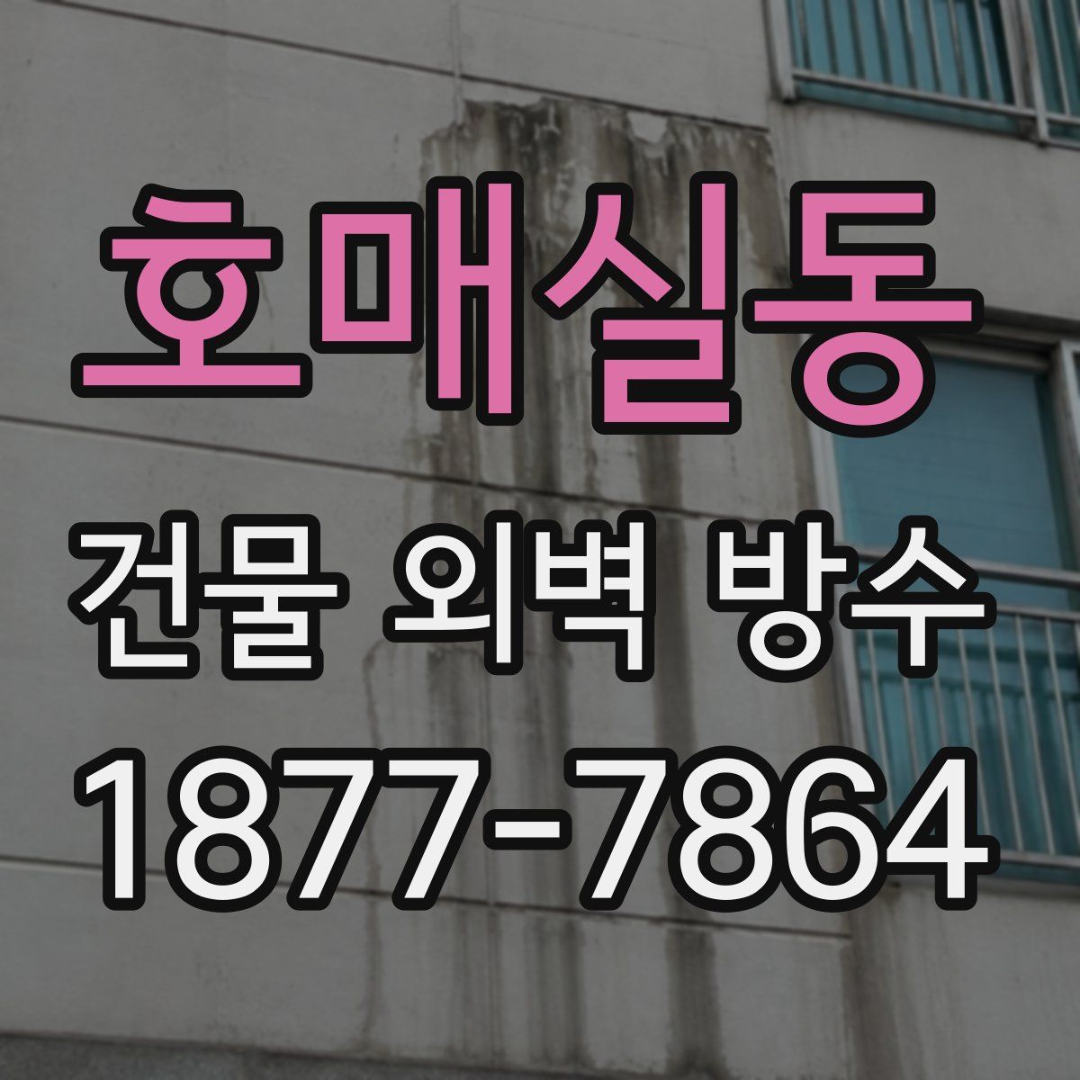 호매실동 건물 외벽 방수