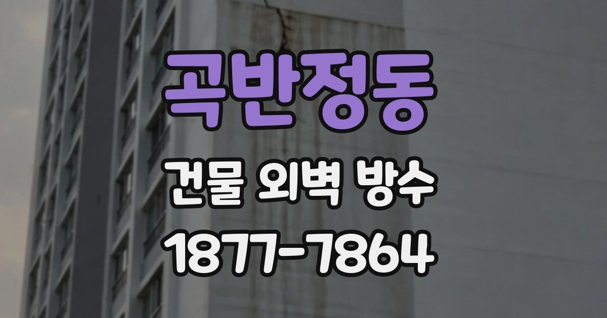 곡반정동 건물 외벽 방수
