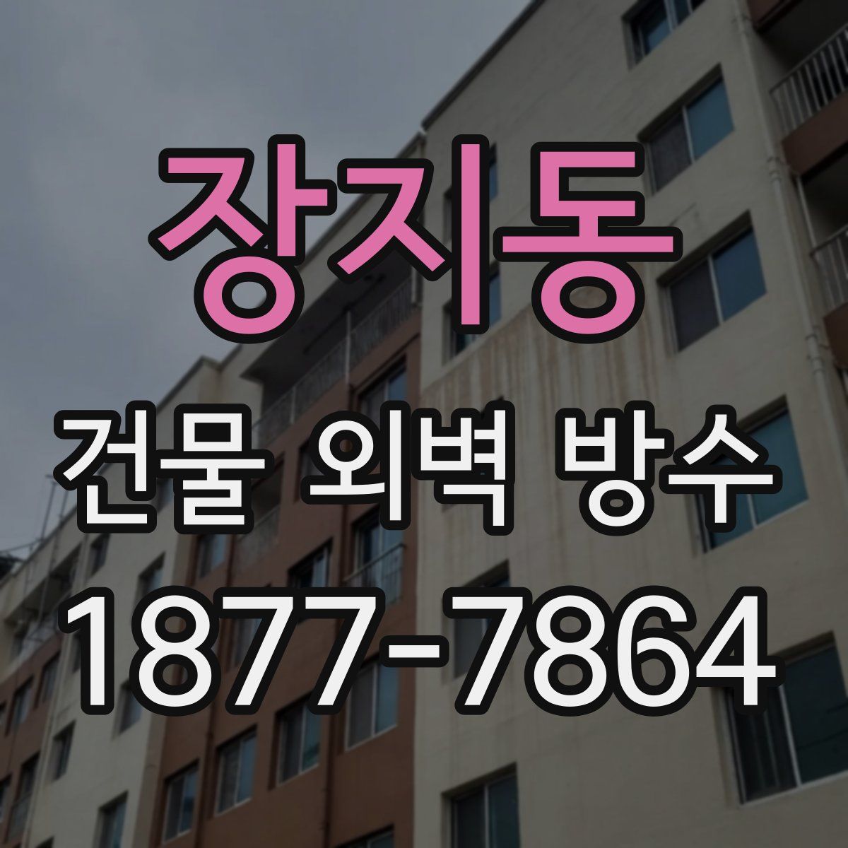 장지동 건물 외벽 방수