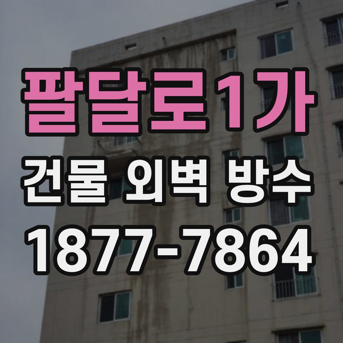 팔달로1가 건물 외벽 방수