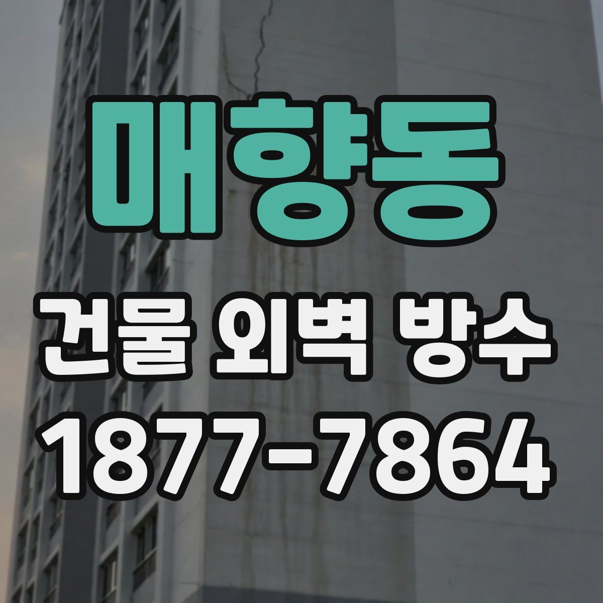 매향동 건물 외벽 방수