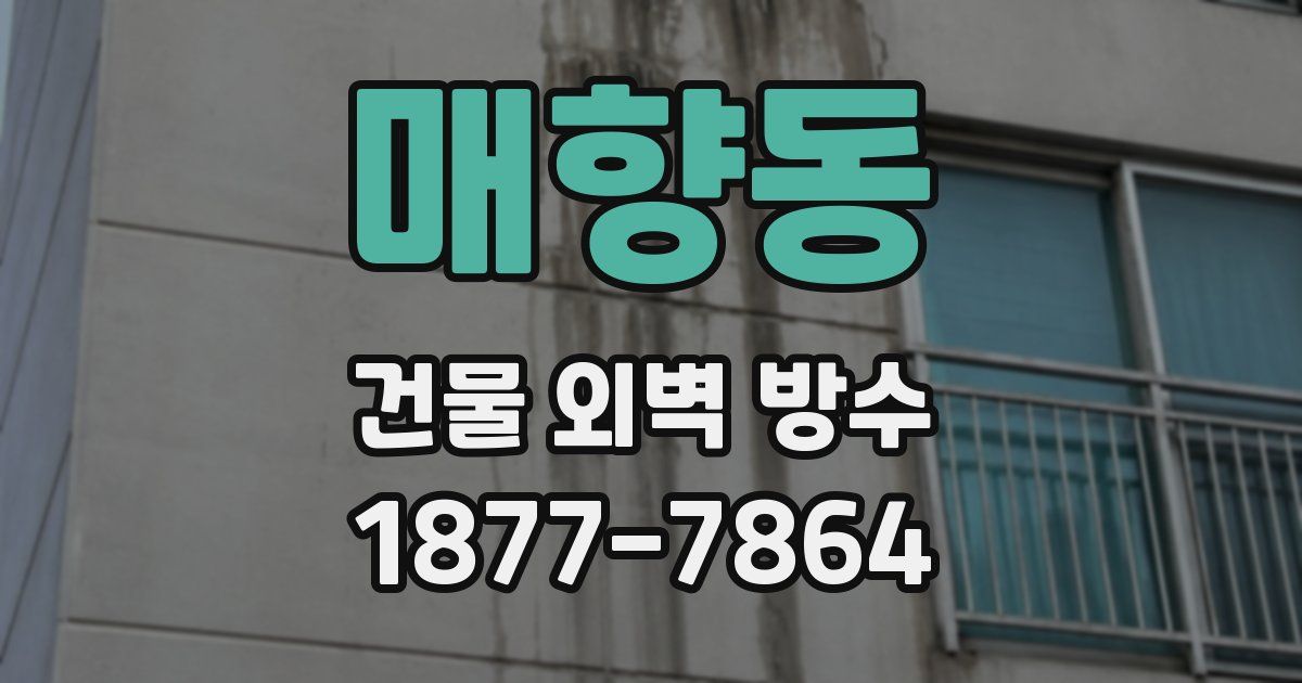 매향동 건물 외벽 방수