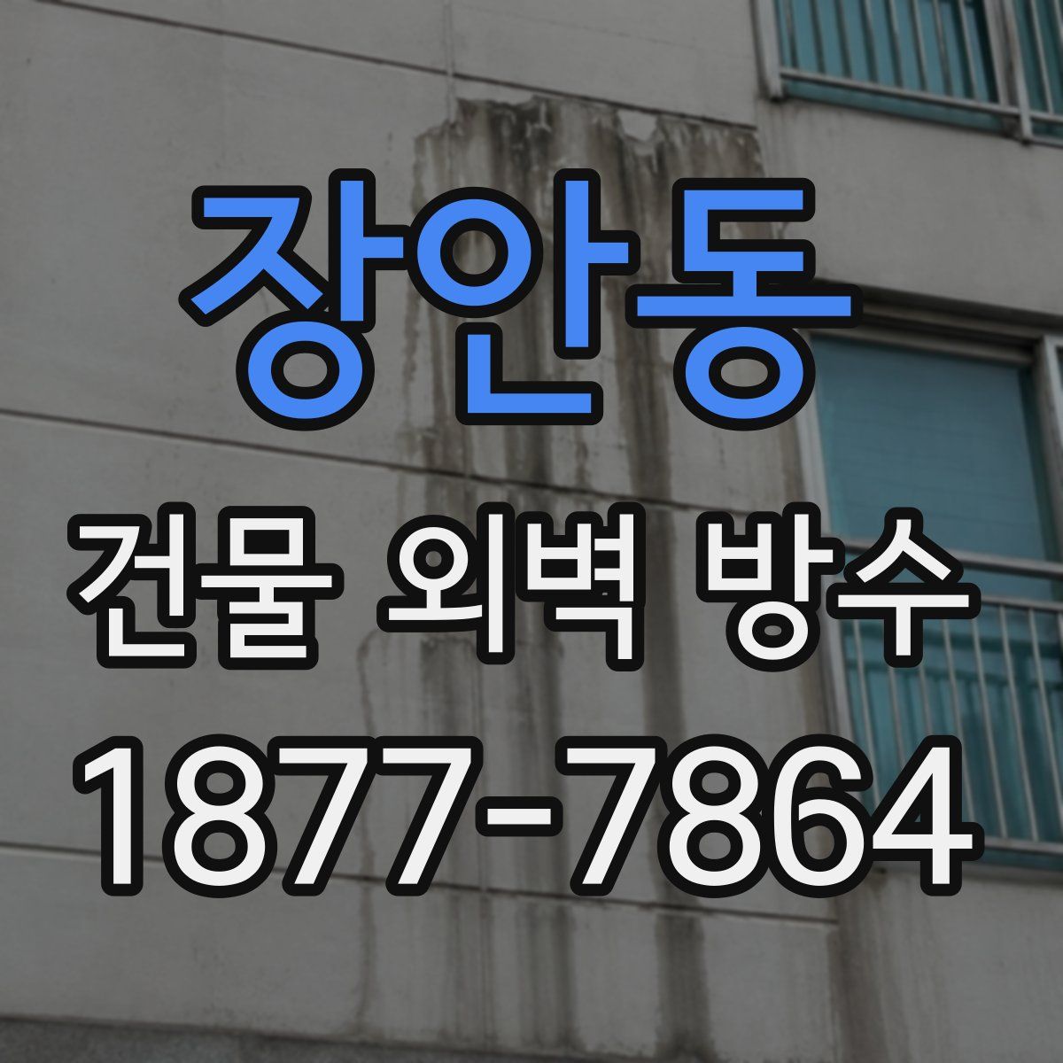 장안동 건물 외벽 방수