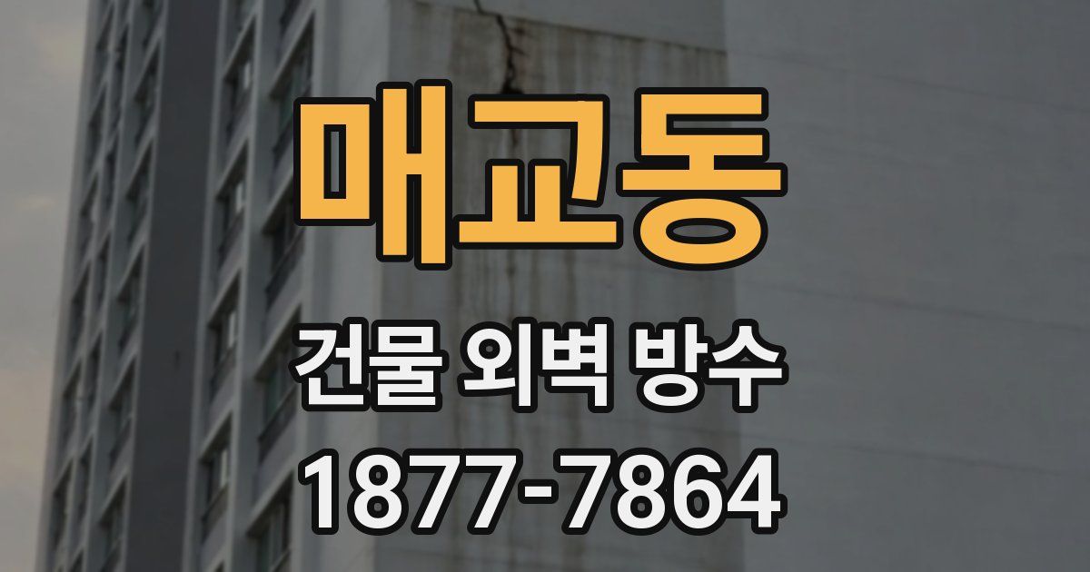 매교동 건물 외벽 방수