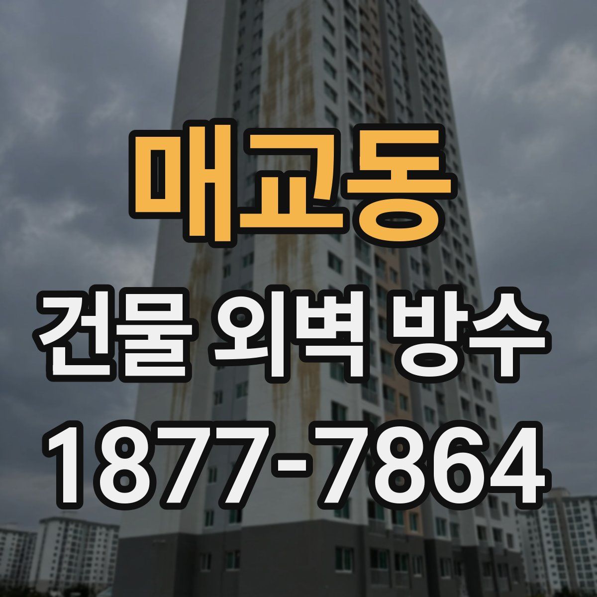 매교동 건물 외벽 방수