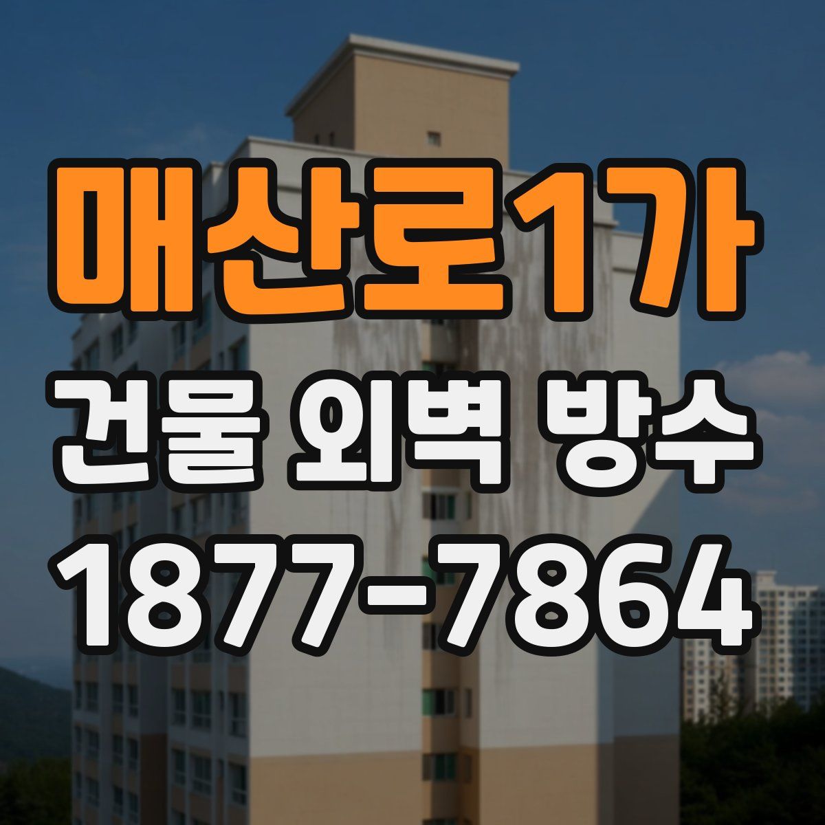 매산로1가 건물 외벽 방수