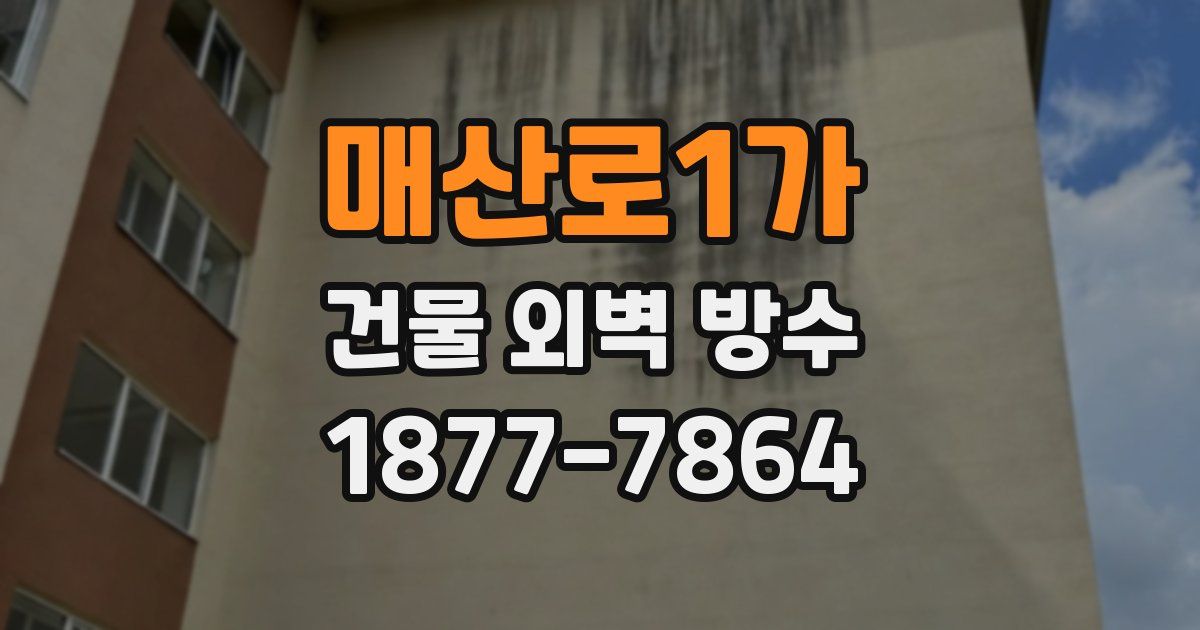 매산로1가 건물 외벽 방수
