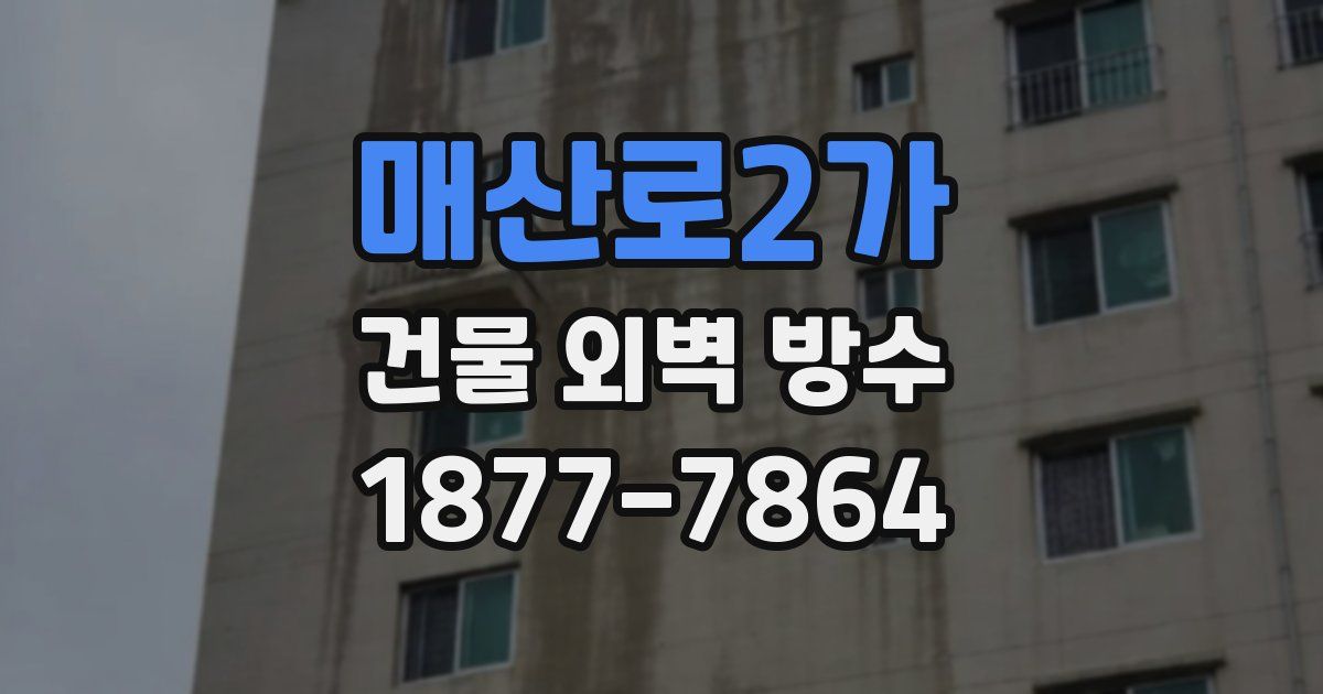 매산로2가 건물 외벽 방수