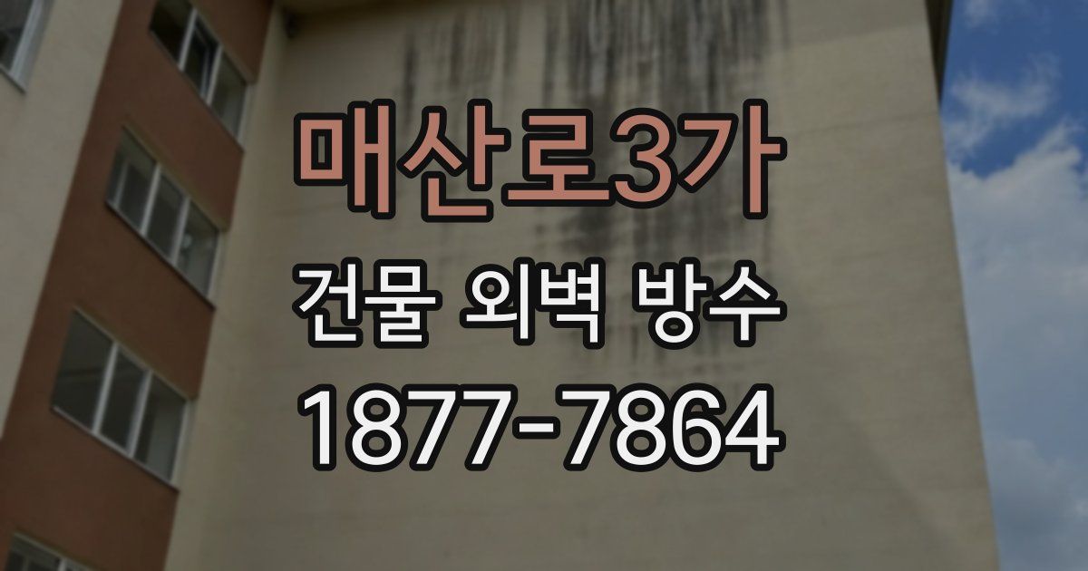 매산로3가 건물 외벽 방수