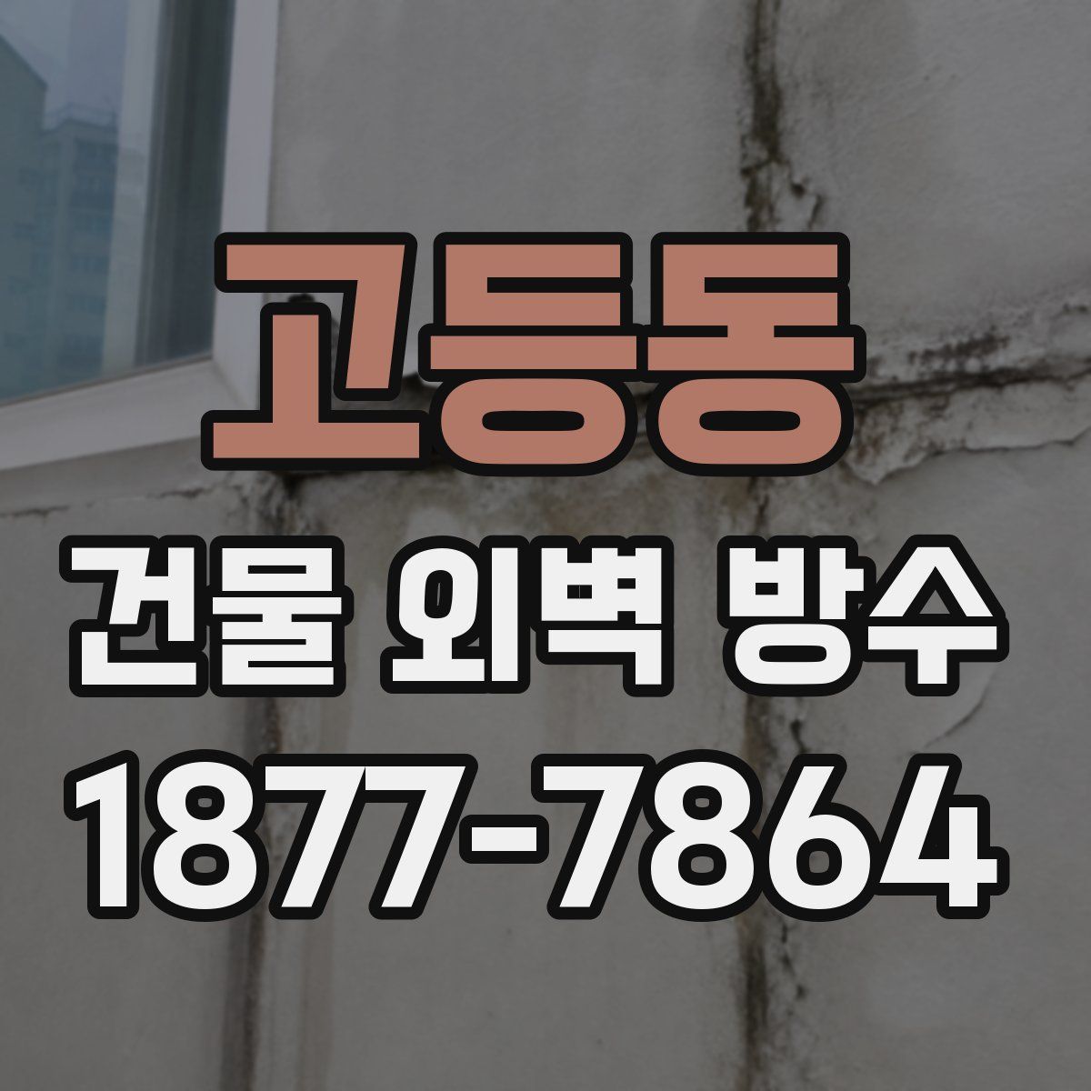 고등동 건물 외벽 방수
