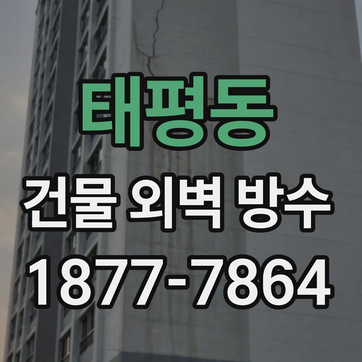 태평동 건물 외벽 방수