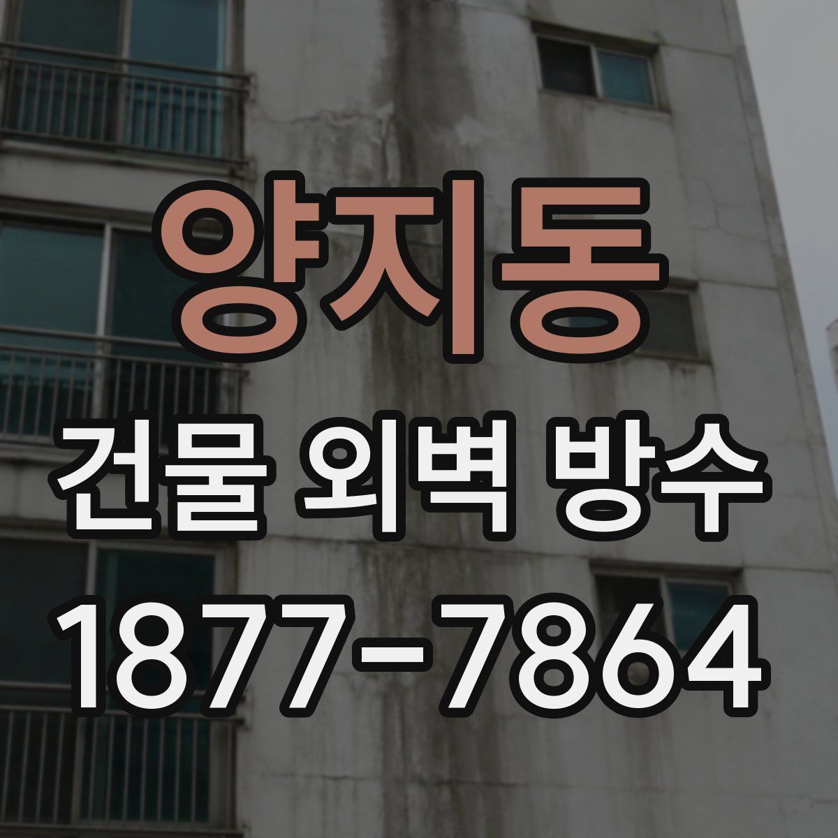 양지동 건물 외벽 방수